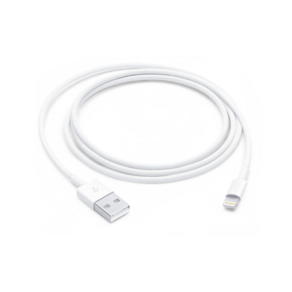 Lightning to USB Cable (1 m)
