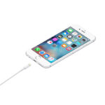 Lightning to USB Cable (1 m)