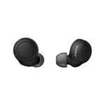 Sony WF-C500 True Wireless Earbuds