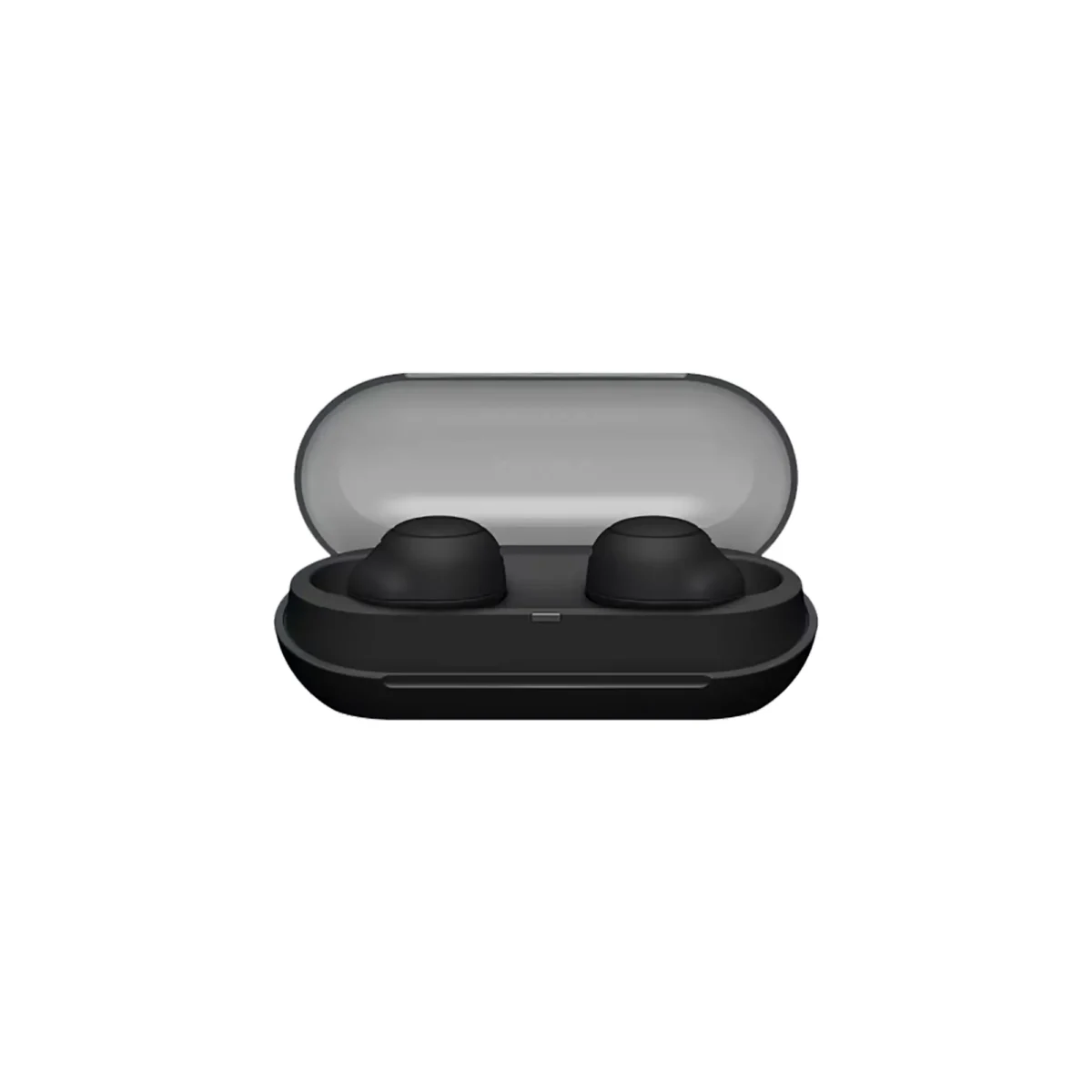 Sony WF-C500 True Wireless Earbuds