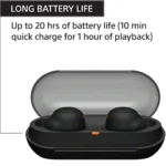 Sony WF-C500 True Wireless Earbuds
