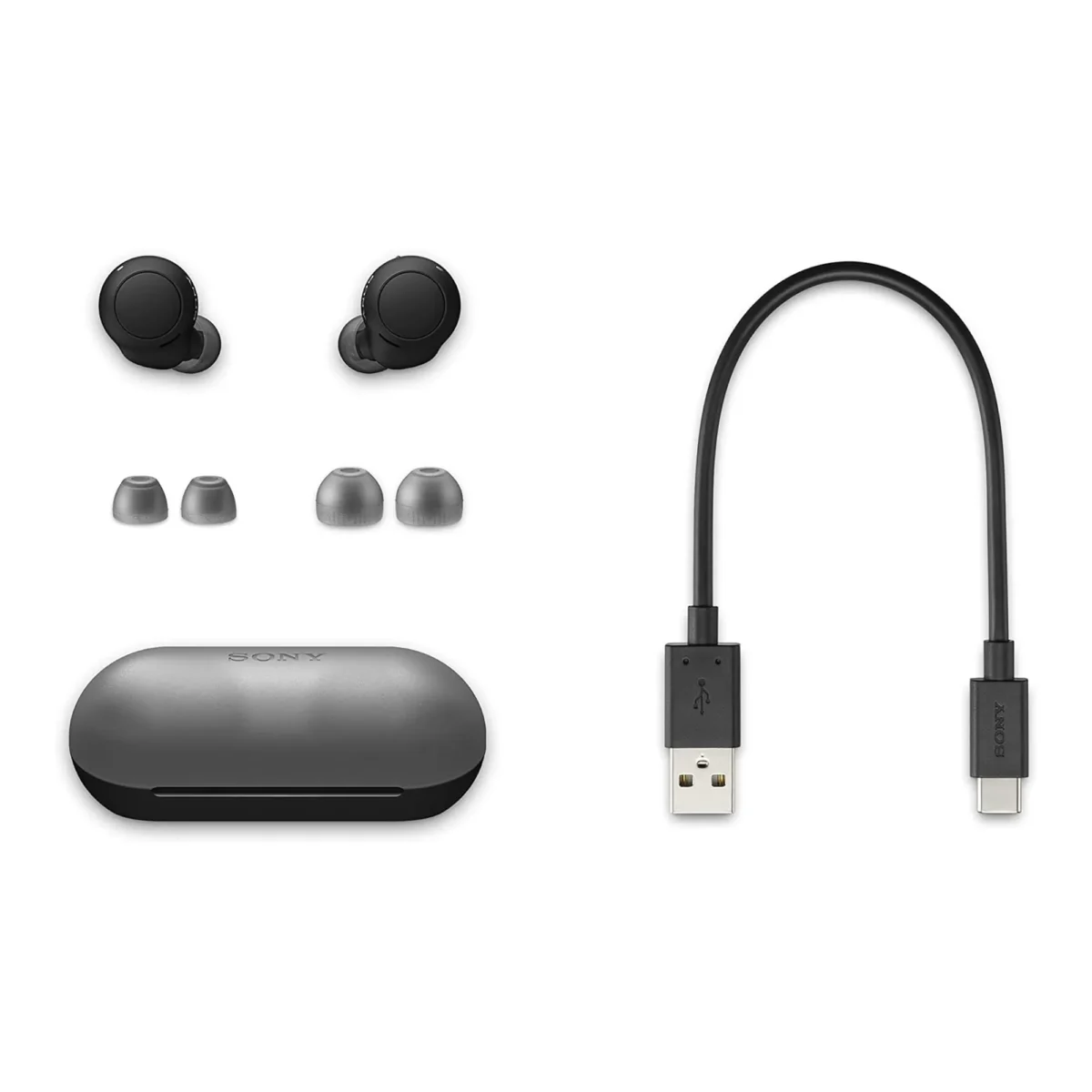 Sony WF-C500 True Wireless Earbuds